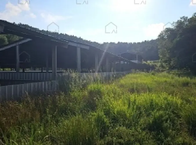 B0005142025013005057771.jpg