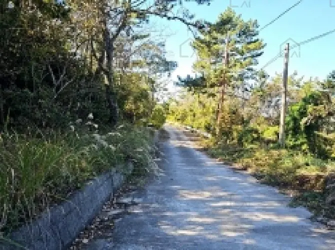 B0005142025013000182519.jpg