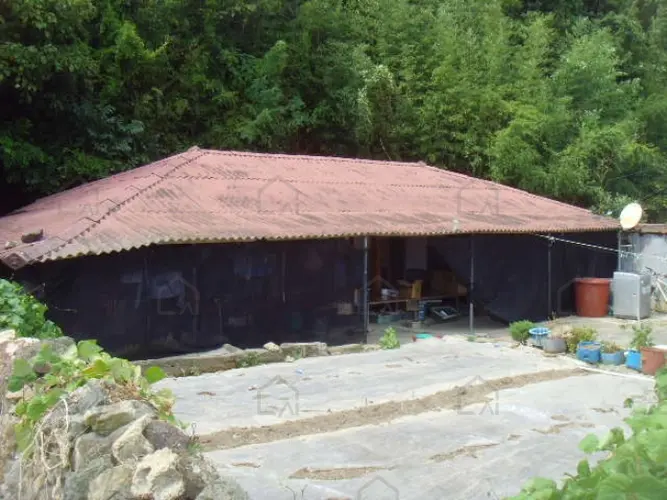 B000514202401300540447.jpg