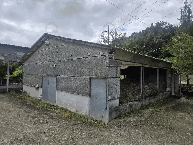 B000520202501300009189.jpg