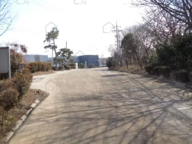B000520202501300311995.jpg