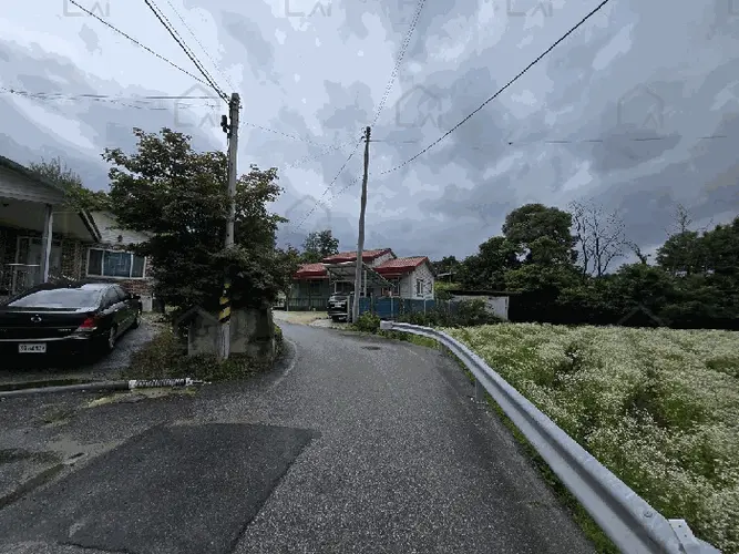 B000520202601300001286.jpg