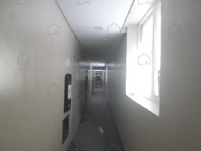 B000520202501300005374.jpg
