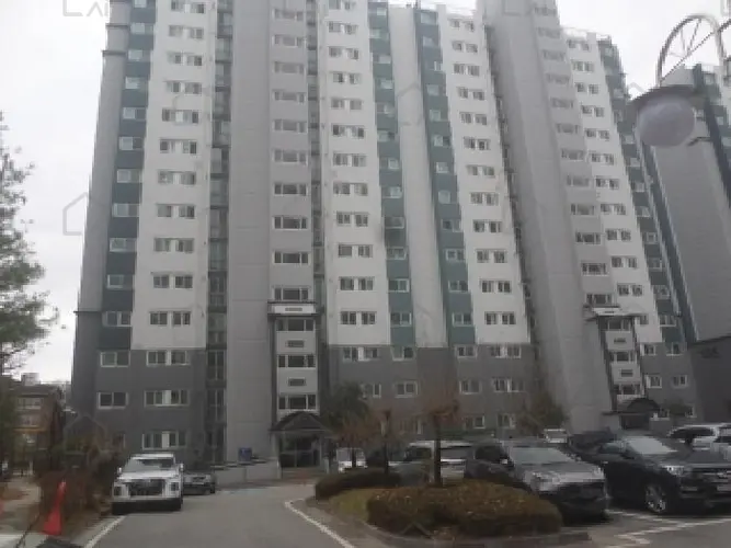 관련사진