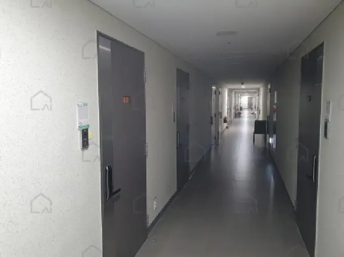 B000520202501300009928.jpg