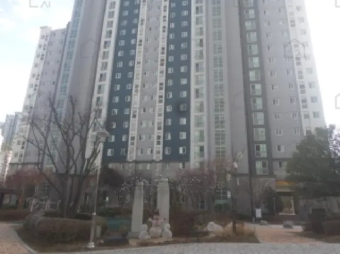 관련사진