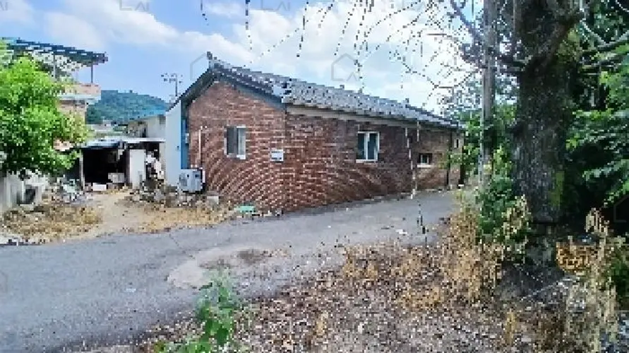 B0005202025013000076721.jpg