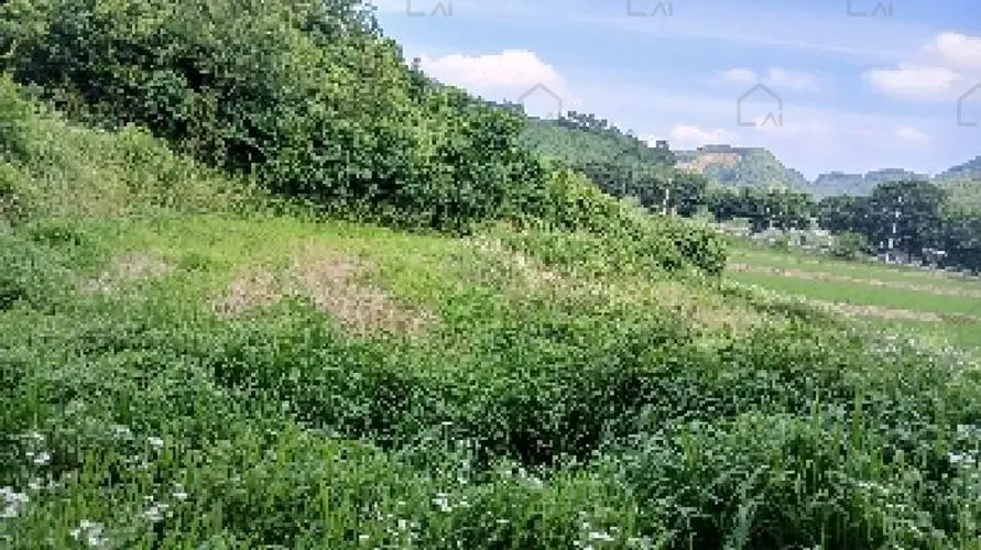 B0005202025013000076728.jpg
