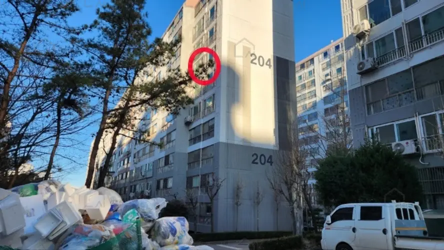 관련사진