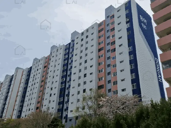 관련사진
