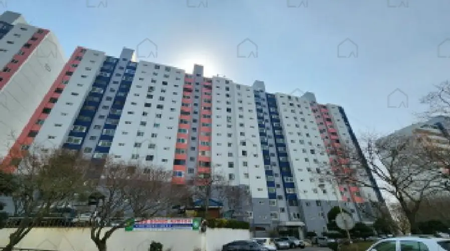 관련사진