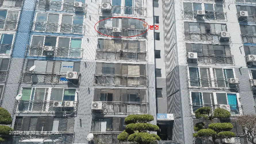 관련사진