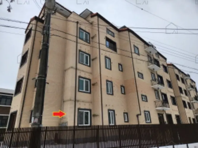 관련사진