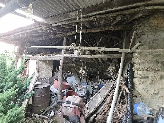 B0005222025013000029816.jpg