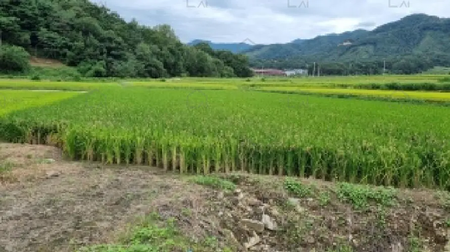 관련사진