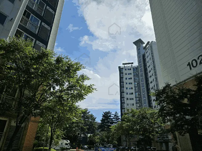B214804202501300716616.jpg