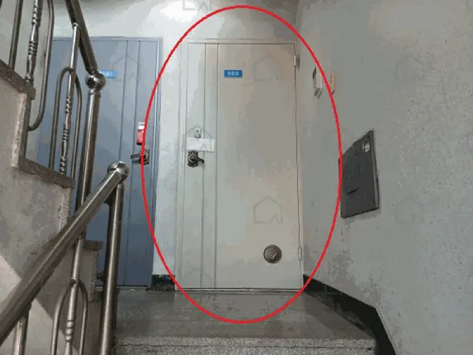 관련사진