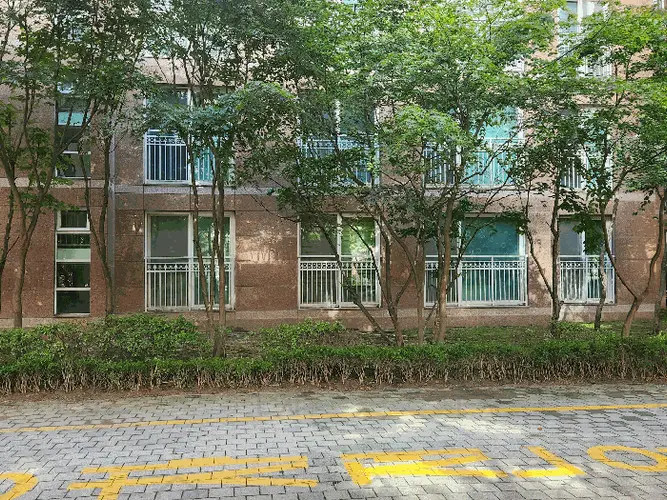관련사진