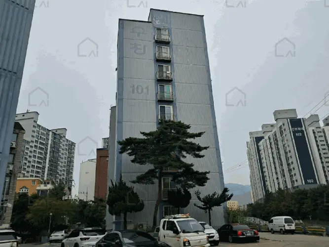 B214804202501300723444.jpg