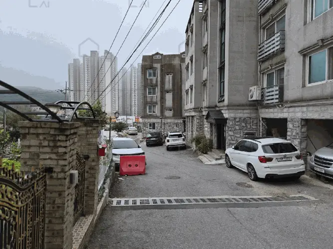 관련사진
