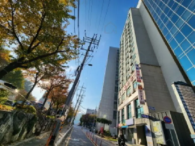 관련사진