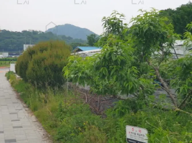 관련사진