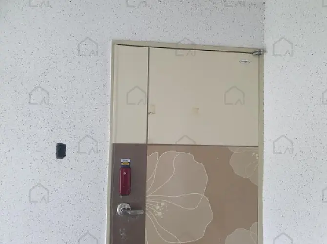 관련사진