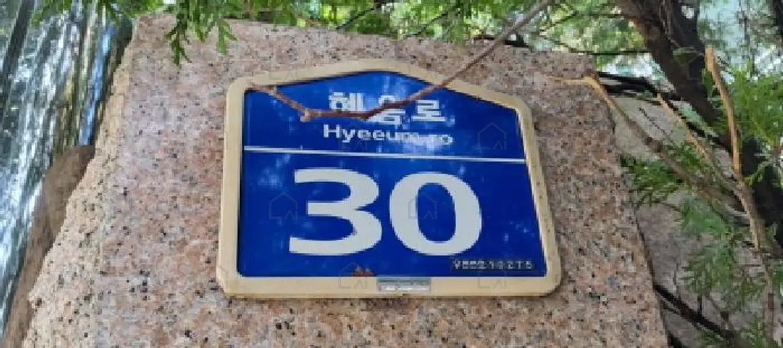 관련사진