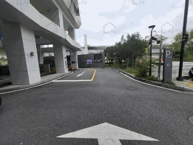 B214807202501300642349.jpg