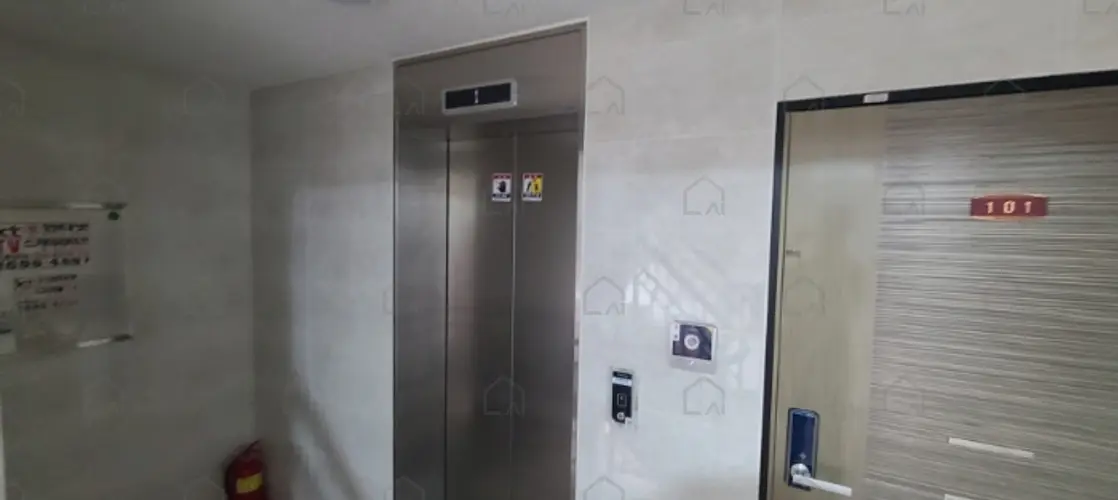 관련사진