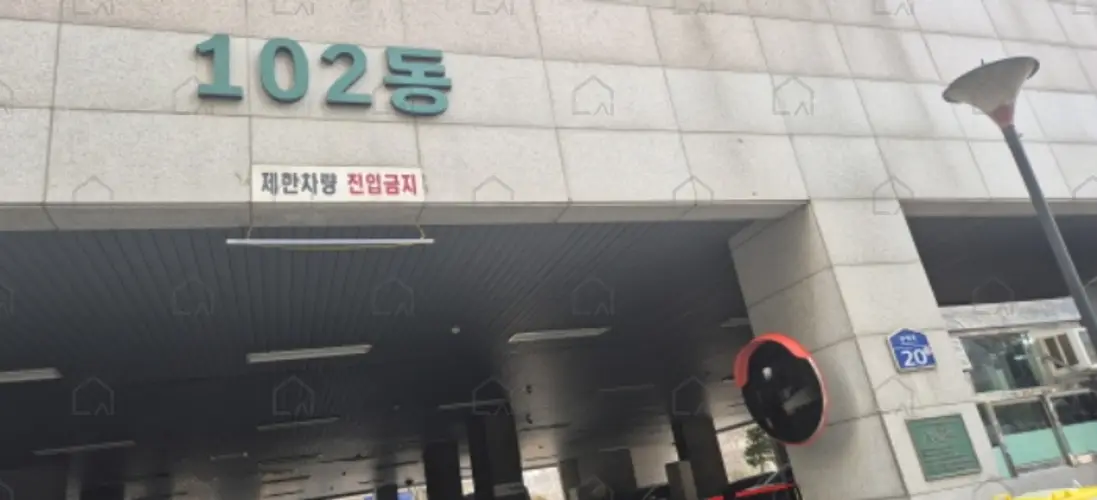 관련사진