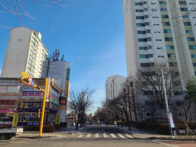 관련사진