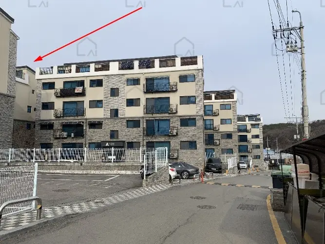 관련사진