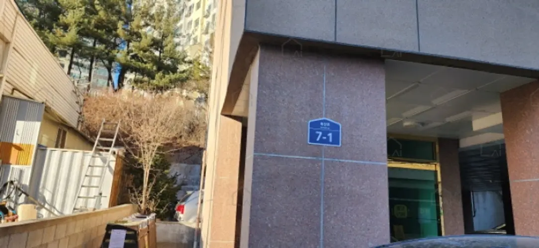 관련사진