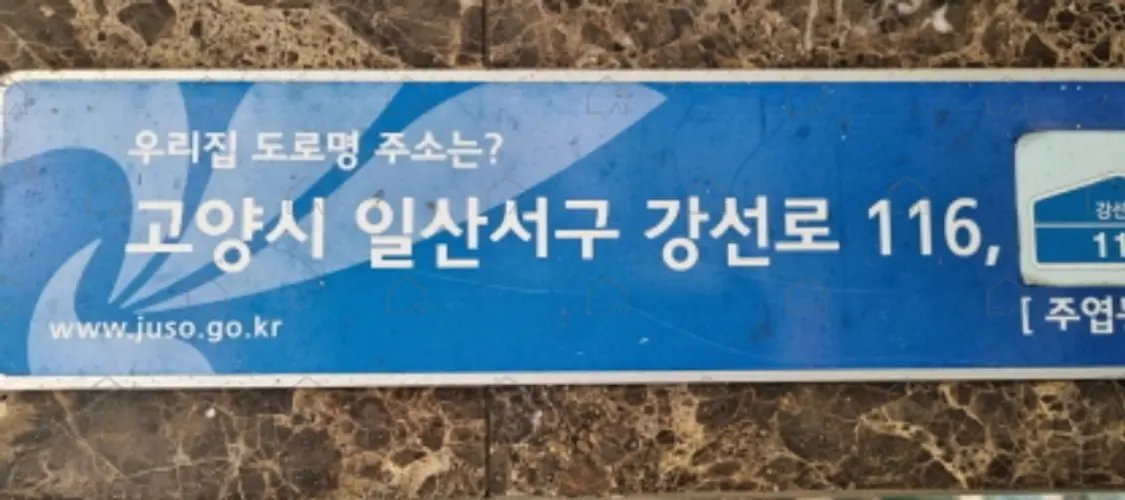 관련사진