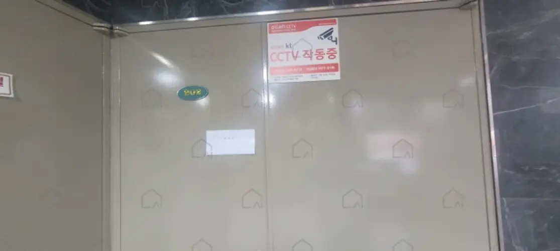 관련사진
