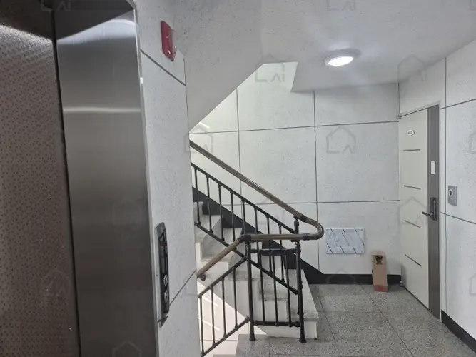 관련사진