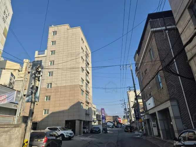 관련사진