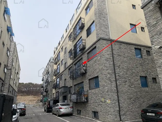 관련사진