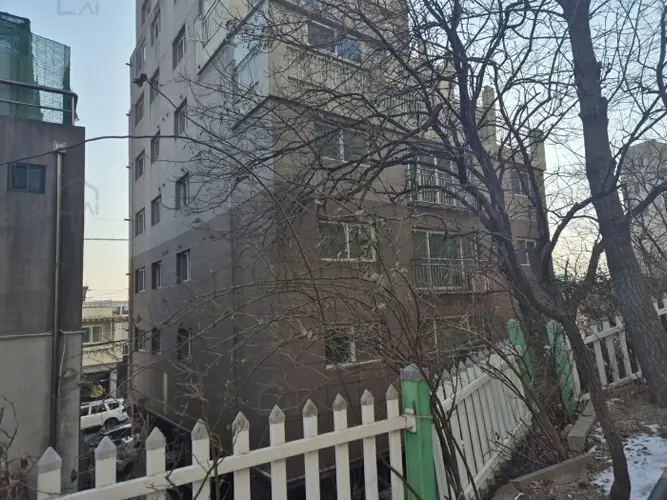 관련사진