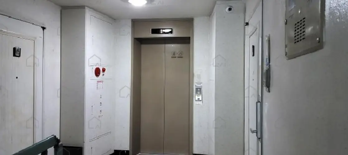 관련사진