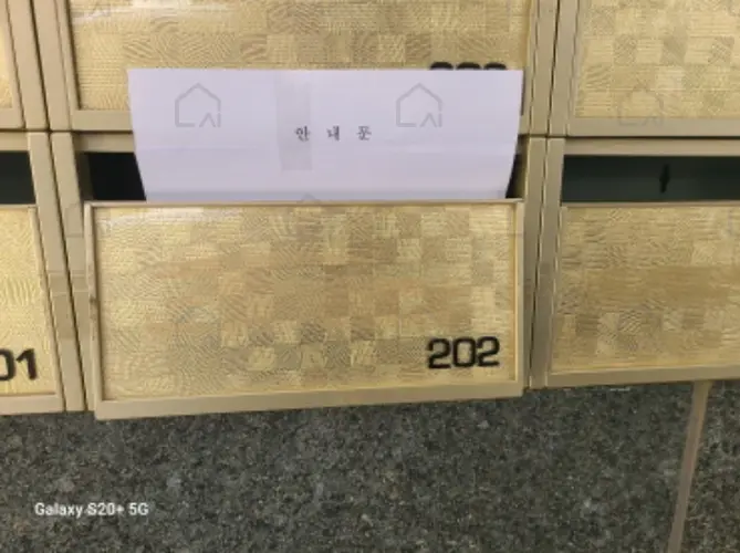 관련사진