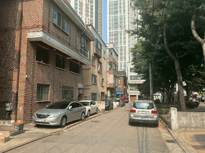 관련사진