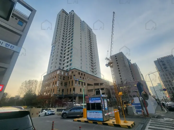 관련사진