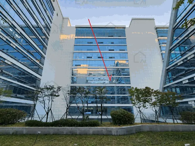 관련사진