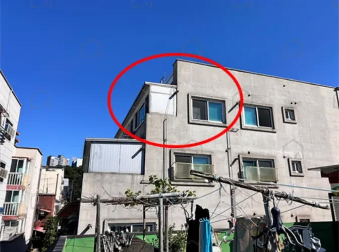 관련사진