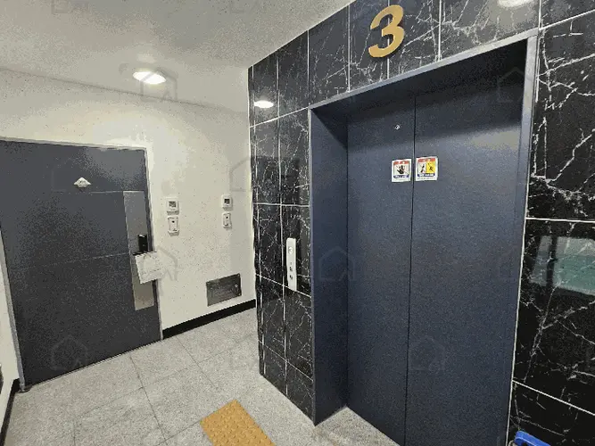 관련사진